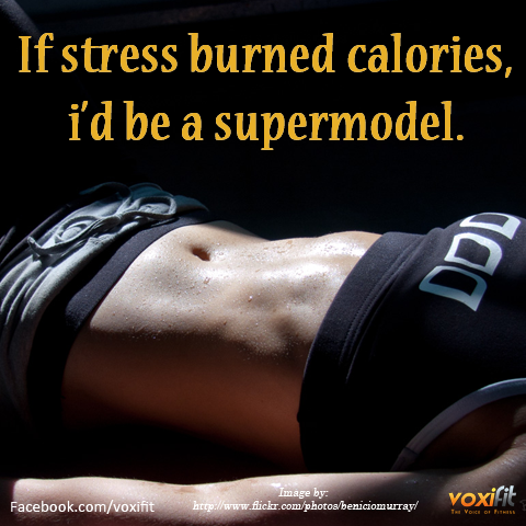 Fitness-Motivation-Funny_if-stress-burns-calories